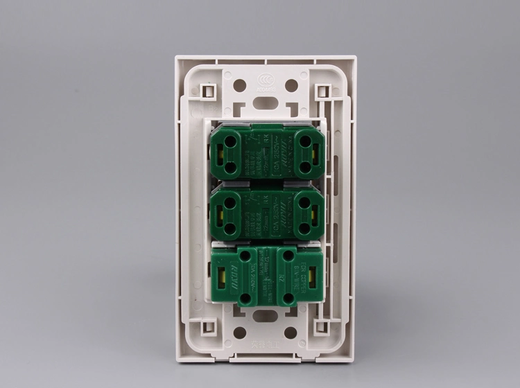 Module Type 16A 2 Gang Switch with Socket (WD701)
