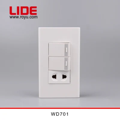 Module Type 16A 2 Gang Switch with Socket (WD701)